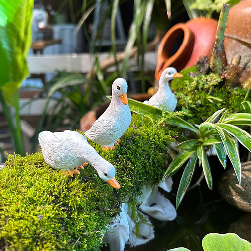 3pcs Cute White Duck Hydroponi – обзор и цена Home Decor Duck