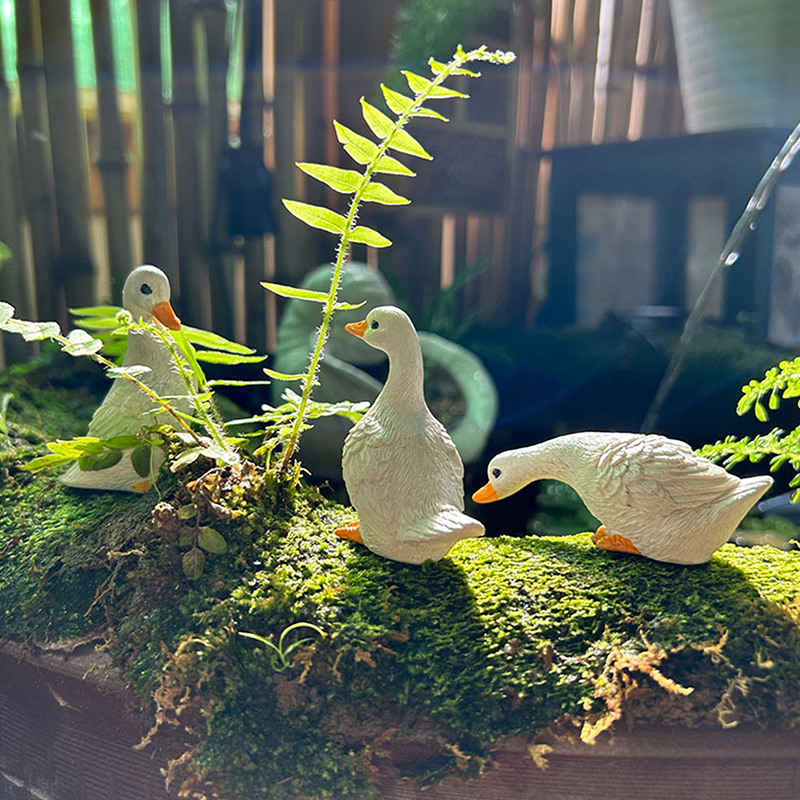 3pcs Cute White Duck Hydroponi – обзор и цена Home Decor Duck