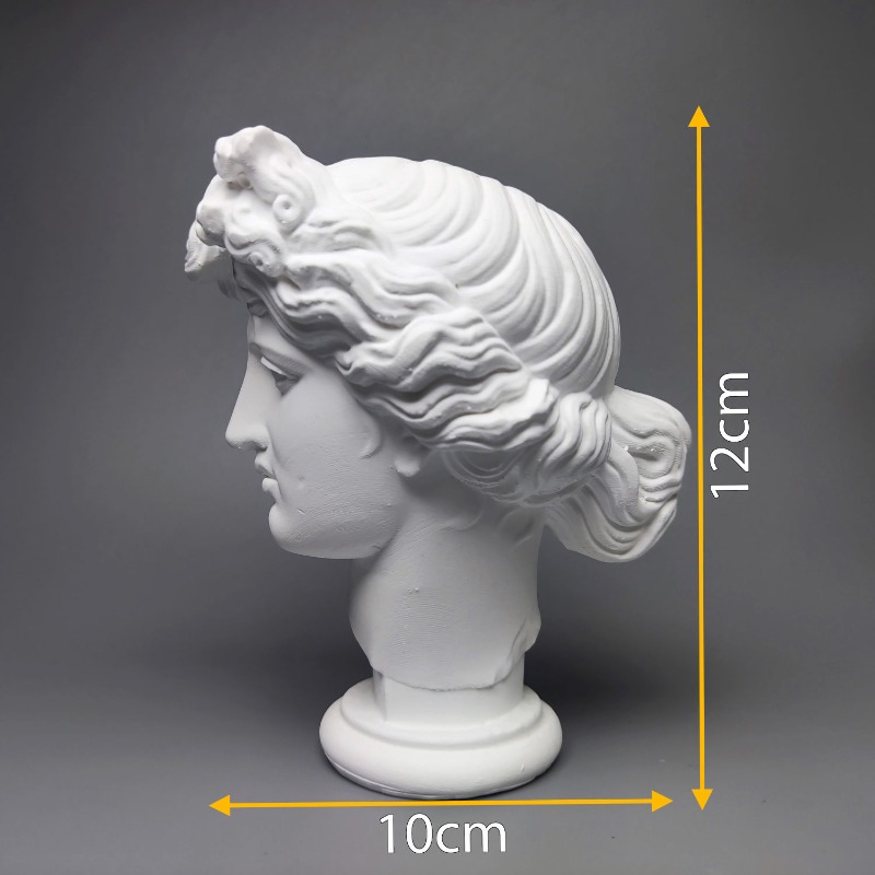 Giustiniani Plaster Figure Vin – обзор и цена Aesthetic Bookend